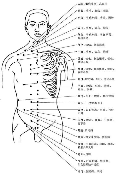 人身穴位圖|史上最全！人体最全穴位图及作用功效（建议收藏）